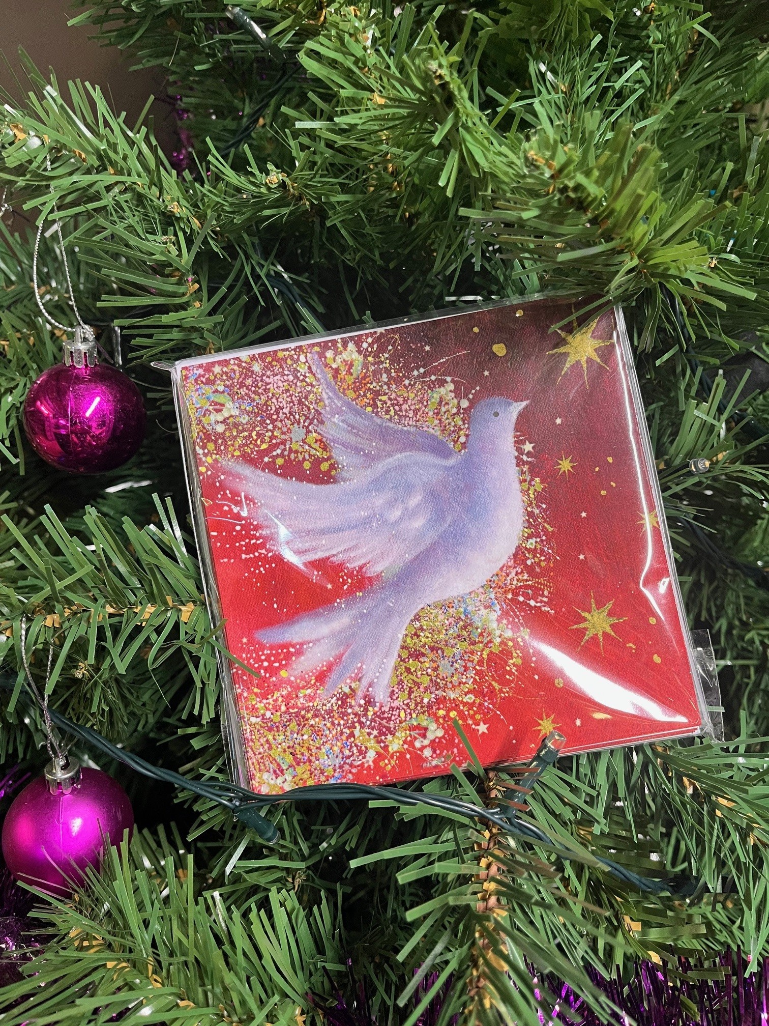 Pack of 10 Lake Scene Christmas Cards.